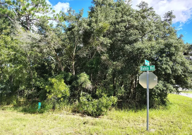 Photo 4 of Land for sale at Silver Springs Shrs Unit16, Ocala, FL 34472 | MLS# TB8546336 | Listing updated on 2026-09-08