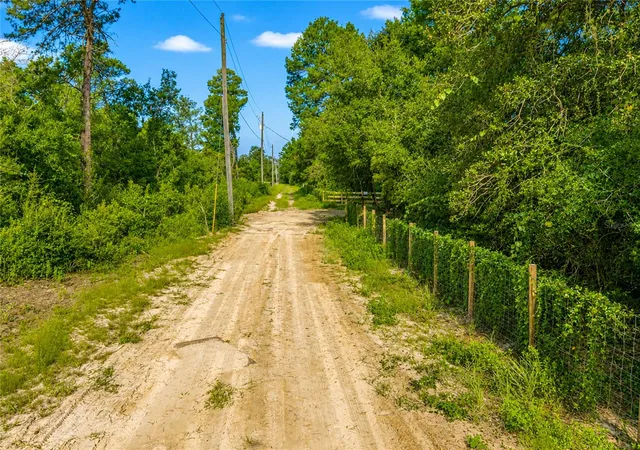 Photo 2 of Land for sale at 43401 Cooter Pond Rd, Deland, FL 32720 | MLS# O6439865 | Listing updated on 2026-09-08