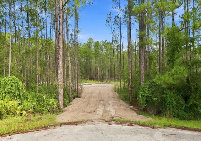 Photo 1 of Land for sale at Alder Way, Eustis, FL 32736 | MLS# G5117484 | Listing updated on 2026-09-08