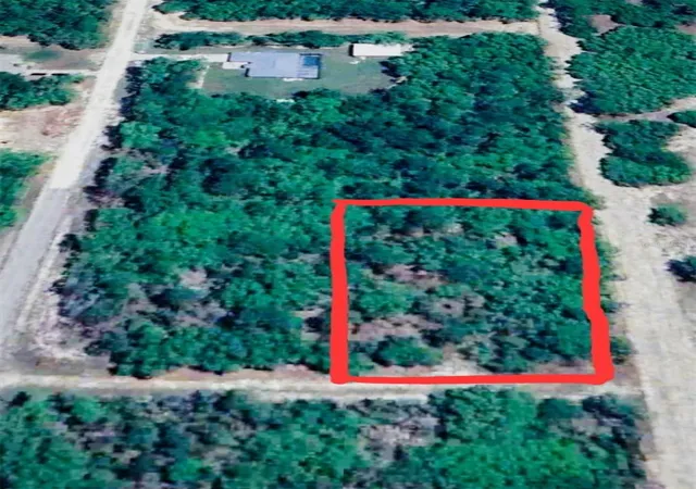 Photo 2 of Land for sale at 12021 Sw 85th Place, Dunnellon, FL 34432 | MLS# O6439903 | Listing updated on 2026-09-08