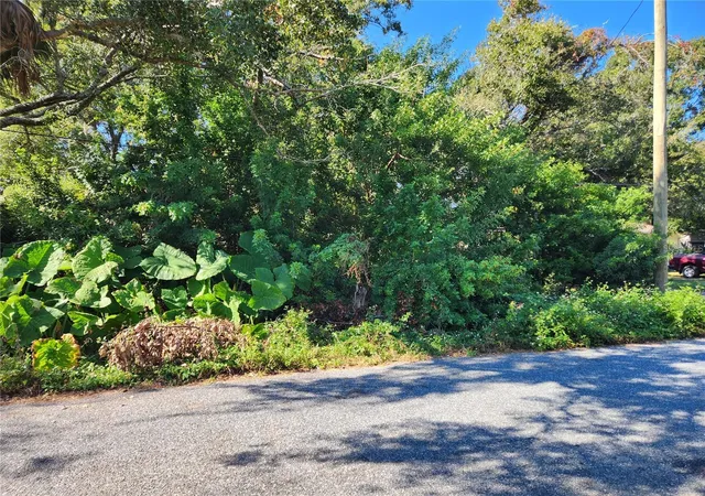 Photo 2 of Land for sale at 00 Atis St #Lot 9, New Port Richey, FL 34653 | MLS# W7889284 | Listing updated on 2026-09-08
