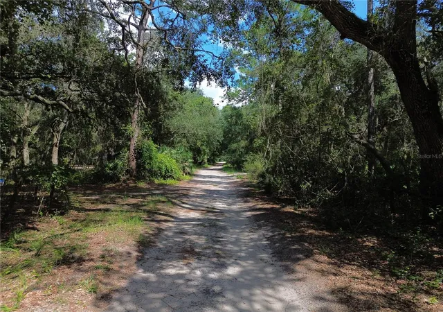 Photo 2 of Land for sale at 6870 Ne 192nd Place, Citra, FL 32113 | MLS# OM731864 | Listing updated on 2026-09-08