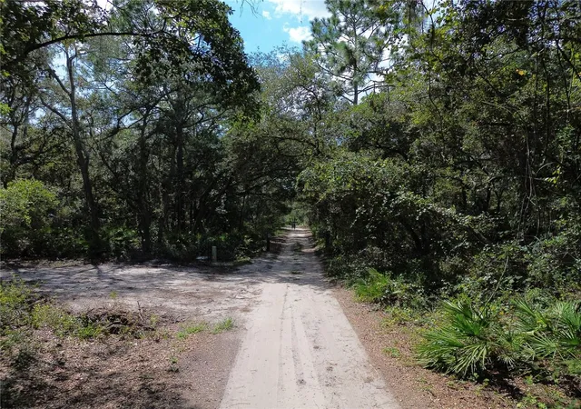 Photo 3 of Land for sale at 6870 Ne 192nd Place, Citra, FL 32113 | MLS# OM731864 | Listing updated on 2026-09-08