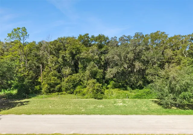 Photo 1 of Land for sale at Grass Roots Rd #Lot 1, Groveland, FL 34736 | MLS# O6440012 | Listing updated on 2026-09-20
