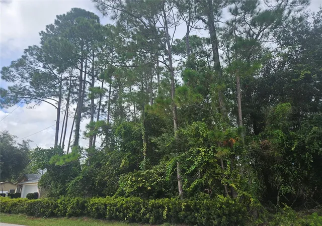 Land for sale at 30 Panorama Dr, PALM COAST, FL 32164 | MLS# FC321285