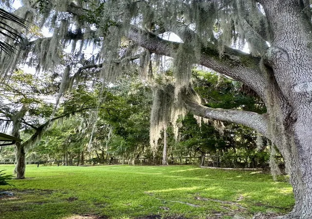 Photo 3 of Single family home for sale at 6800 NW Highway 320, Micanopy, FL 32667 | MLS# TB8546490 | Listing updated on 2026-09-13