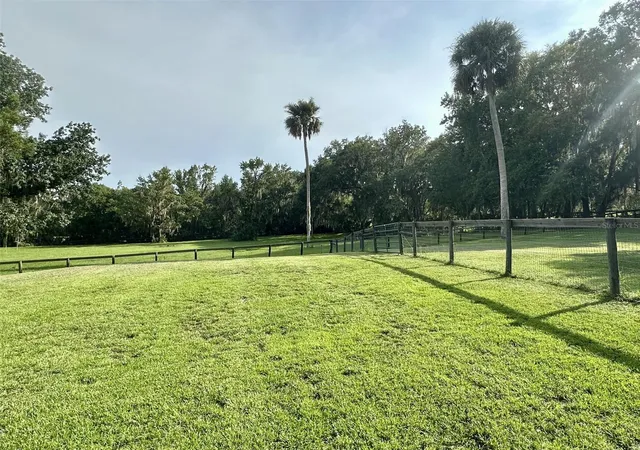 Photo 4 of Single family home for sale at 6800 NW Highway 320, Micanopy, FL 32667 | MLS# TB8546490 | Listing updated on 2026-09-13