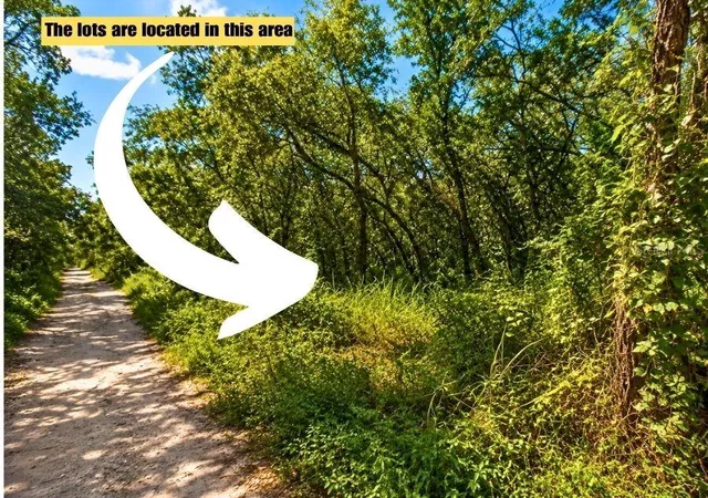 Photo 2 of Land for sale at Poco Loop, New Port Richey, FL 34654 | MLS# TB8546492 | Listing updated on 2026-10-06