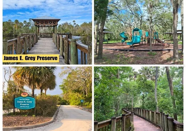 Photo 4 of Land for sale at Poco Loop, New Port Richey, FL 34654 | MLS# TB8546492 | Listing updated on 2026-10-06