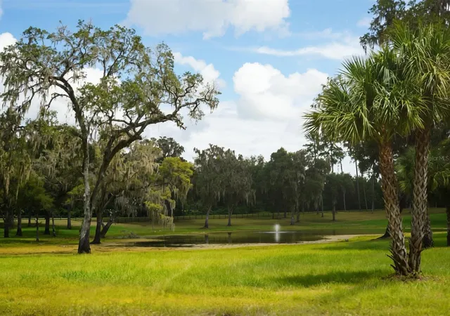 Land for sale at Northwest 160th St, REDDICK, FL 32686 | MLS# OM731897