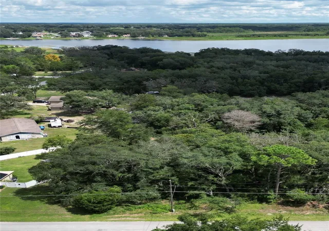 Photo 3 of Land for sale at Tbd Se 94th Ave, Belleview, FL 34420 | MLS# OM731914 | Listing updated on 2026-09-20