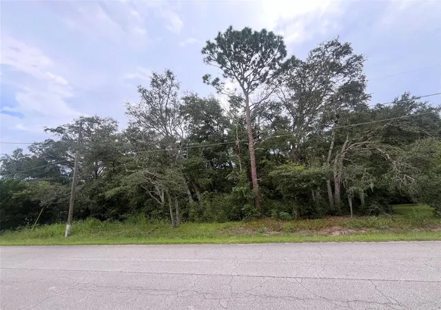 Photo 3 of Land for sale at Tbd SE 94th Ave, Belleview, FL 34420 | MLS# OM731914 | Listing updated on 2026-09-20