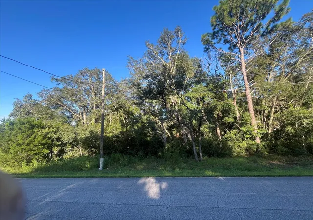 Photo 4 of Land for sale at Tbd SE 94th Ave, Belleview, FL 34420 | MLS# OM731914 | Listing updated on 2026-09-20