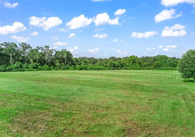 Photo 1 of Land for sale at 2239 Se 112th Avenue, Webster, FL 33597 | MLS# TB8546677 | Listing updated on 2026-09-22