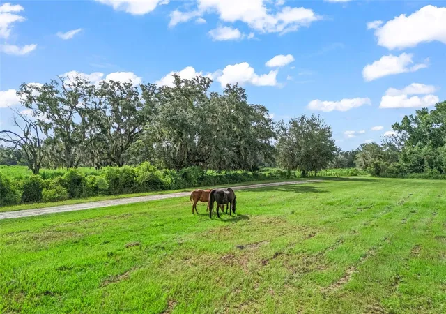 Photo 3 of Land for sale at 2239 SE 112th Avenue, Webster, FL 33597 | MLS# TB8546677 | Listing updated on 2026-09-22
