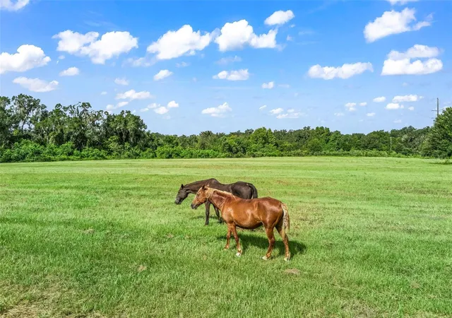 Photo 4 of Land for sale at 2239 SE 112th Avenue, Webster, FL 33597 | MLS# TB8546677 | Listing updated on 2026-09-22