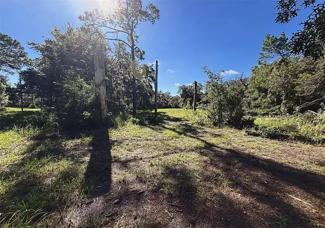 Photo 3 of Manufactured home for sale at 9630 Ellis St, New Port Richey, FL 34654 | MLS# W7889318 | Listing updated on 2026-09-19