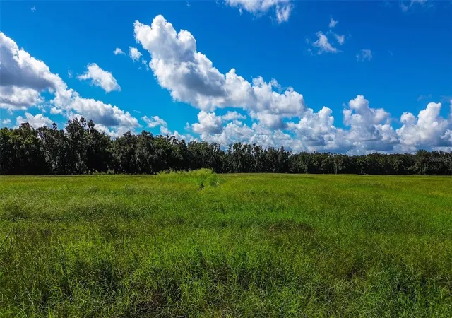 Photo 1 of Land for sale at 00 Miller Rd, Dade City, FL 33525 | MLS# TB8546776 | Listing updated on 2026-09-16