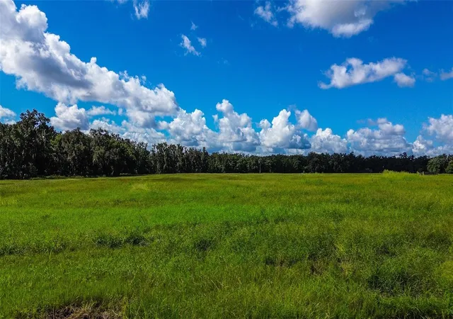 Photo 2 of Land for sale at 00 Miller Rd, Dade City, FL 33525 | MLS# TB8546776 | Listing updated on 2026-09-16