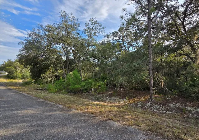 Photo 2 of Land for sale at Fisher Way, Ocklawaha, FL 32179 | MLS# G5117549 | Listing updated on 2026-09-30