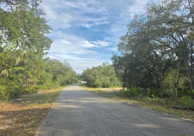 Photo 3 of Land for sale at Fisher Way, Ocklawaha, FL 32179 | MLS# G5117549 | Listing updated on 2026-09-30