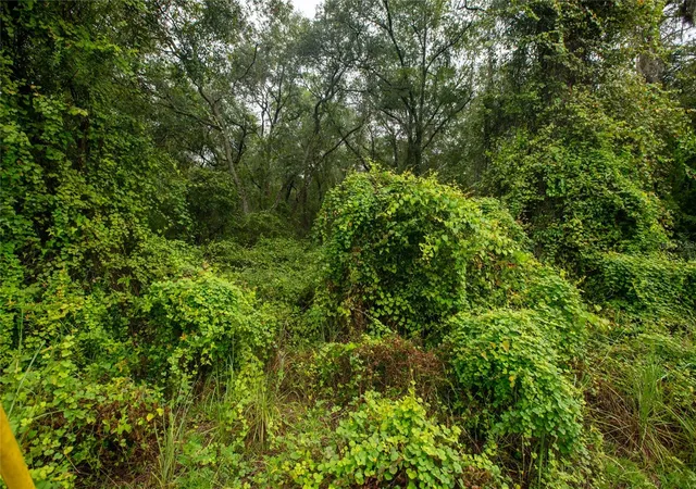 Photo 3 of Sale Pending at 4818 Gadara Rd, Keystone Heights, FL 32656 | MLS# GC543370 | Listing updated on 2026-09-14