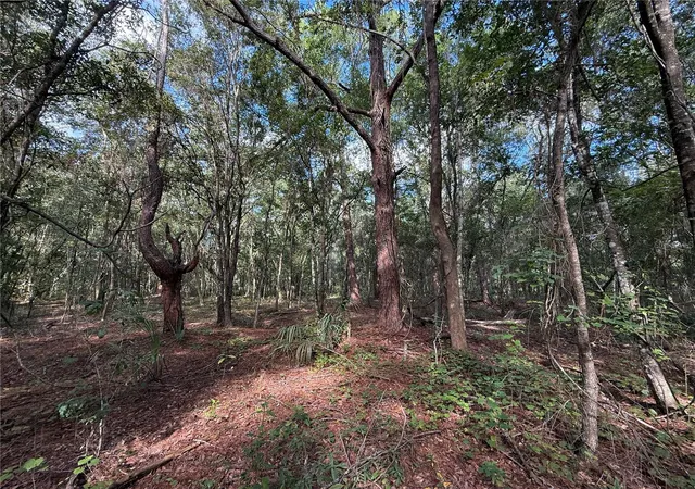 Photo 2 of Land for sale at 1166 Honeytree St, Bunnell, FL 32110 | MLS# FC321316 | Listing updated on 2026-10-26