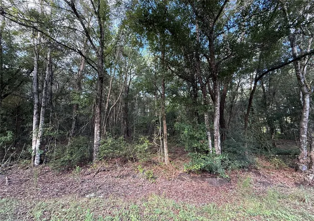 Photo 3 of Land for sale at 1166 Honeytree St, Bunnell, FL 32110 | MLS# FC321316 | Listing updated on 2026-10-26