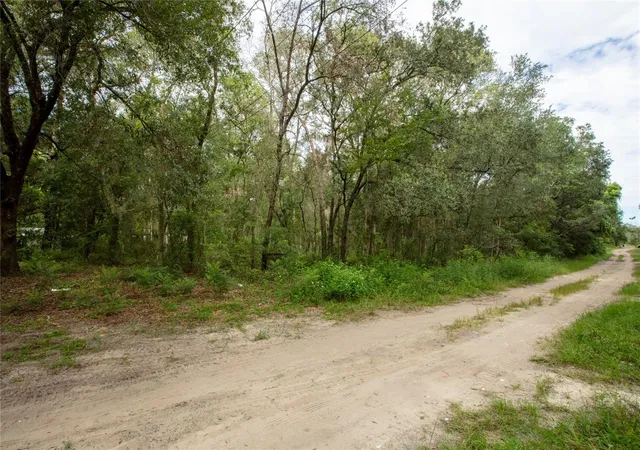 Photo 4 of Land for sale at 7214 Notre Dame St, Keystone Heights, FL 32656 | MLS# GC543376 | Listing updated on 2026-09-14