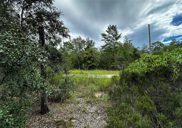 Land for sale at 0000 NE 149th Court, WILLISTON, FL 32696 | MLS# OM731970