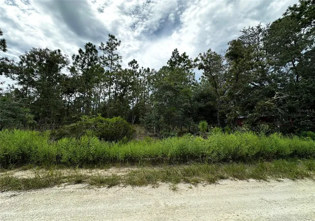 Photo 3 of Land for sale at 0000 Ne 149th Court, Williston, FL 32696 | MLS# OM731970 | Listing updated on 2026-09-15