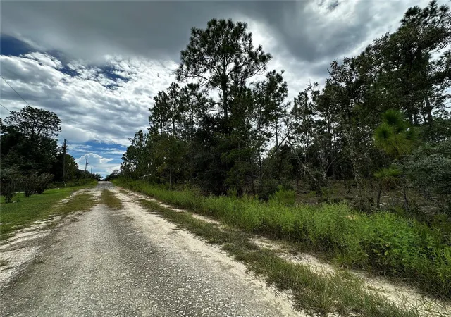 Photo 3 of Land for sale at 0000 NE 149th Court, Williston, FL 32696 | MLS# OM731970 | Listing updated on 2026-09-15
