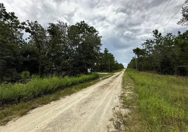Photo 4 of Land for sale at 0000 NE 149th Court, Williston, FL 32696 | MLS# OM731970 | Listing updated on 2026-09-15