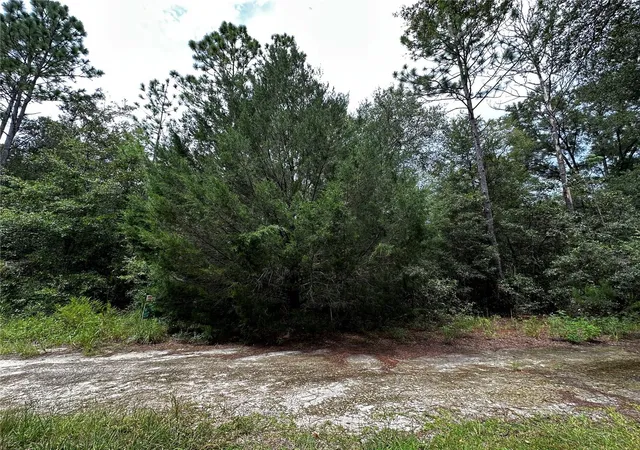 Photo 2 of Land for sale at 0000 Ne 155th Court, Williston, FL 32696 | MLS# OM731975 | Listing updated on 2026-09-15