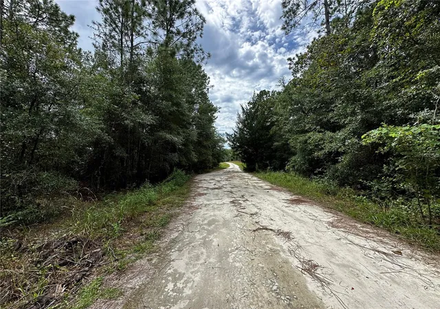 Photo 3 of Land for sale at 0000 Ne 155th Court, Williston, FL 32696 | MLS# OM731975 | Listing updated on 2026-09-15