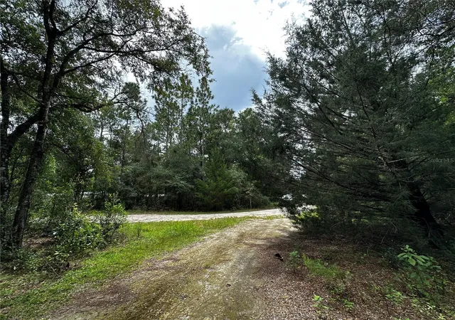 Photo 3 of Land for sale at 0000 NE 155th Court, Williston, FL 32696 | MLS# OM731975 | Listing updated on 2026-09-15