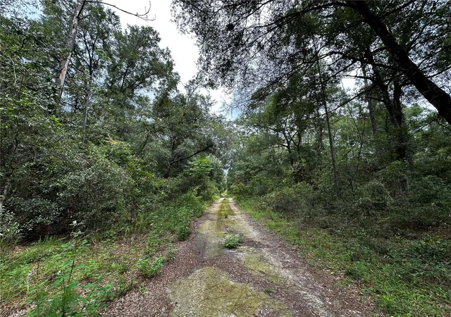 Photo 4 of Land for sale at 0000 NE 155th Court, Williston, FL 32696 | MLS# OM731975 | Listing updated on 2026-09-15