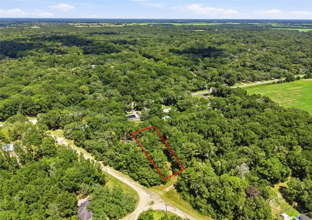 Land for sale at Lot NW 11 164th Street, Trenton, FL 32693 | MLS# GC543381
