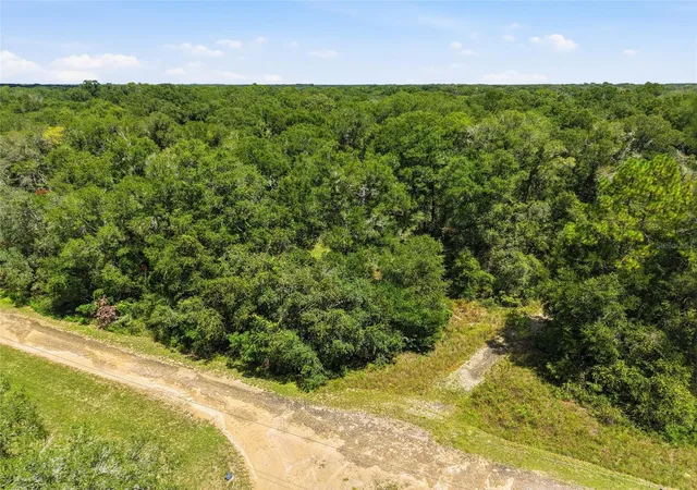Photo 2 of Land for sale at Lot Nw 11 164th Street, Trenton, FL 32693 | MLS# GC543381 | Listing updated on 2026-10-05