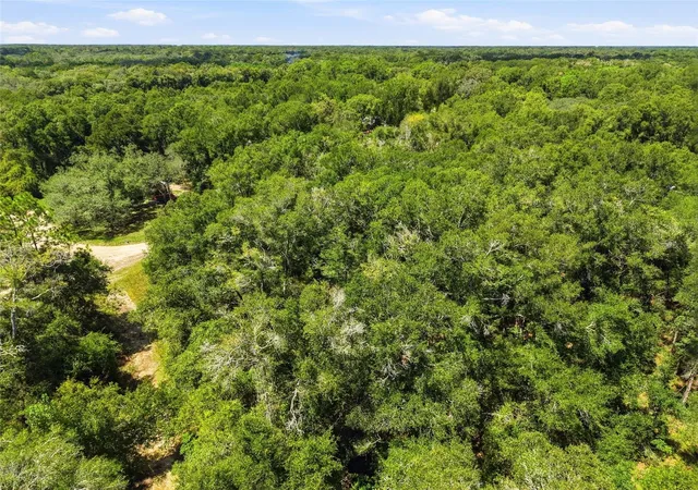 Photo 9 of Land for sale at Lot NW 11 164th Street, Trenton, FL 32693 | MLS# GC543381 | Listing updated on 2026-10-05