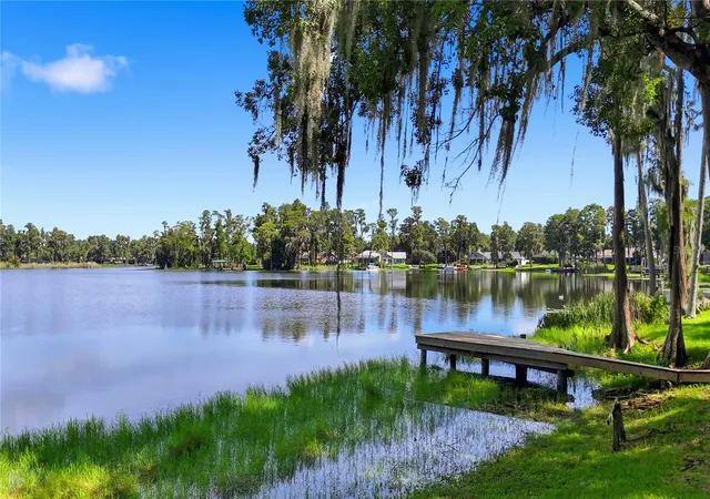 Photo 3 of Single family home for sale at 703 Crystal Lake Rd, Lutz, FL 33548 | MLS# TB8546999 | Listing updated on 2026-09-19