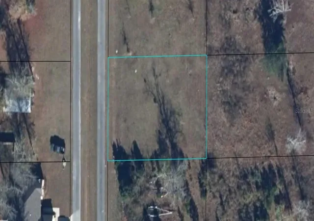 Land for sale at Charlie Gaskin Dr, WEWAHITCHKA, FL 32465 | MLS# A4705612