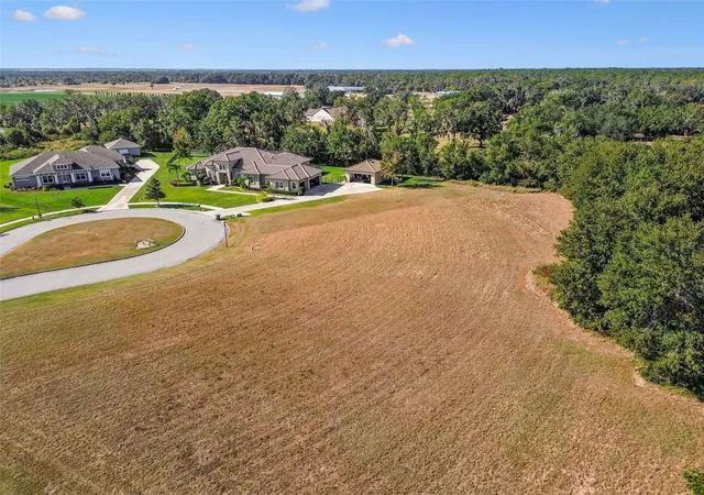 Photo 4 of Land for sale at 420 Hawk Talon Dr, Lithia, FL 33547 | MLS# TB8547159 | Listing updated on 2026-10-06
