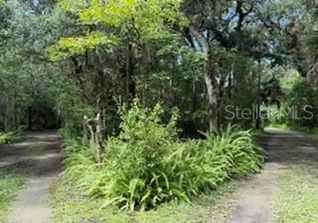 Photo 4 of Single family home for sale at 2310 Salt Crk Trl, Oviedo, FL 32765 | MLS# O6440601 | Listing updated on 2026-10-04