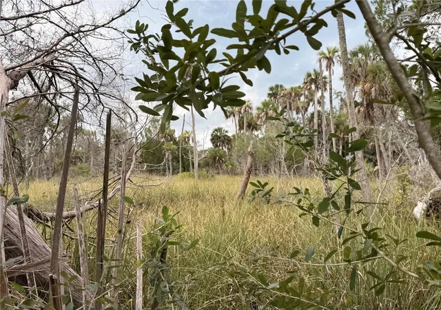 Photo 2 of Land for sale at 12039 W Fort Is Trl, Crystal River, FL 34429 | MLS# TB8547326 | Listing updated on 2026-09-27