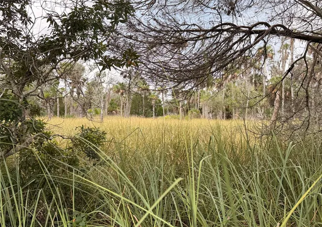 Photo 3 of Land for sale at 12039 W Fort Is Trl, Crystal River, FL 34429 | MLS# TB8547326 | Listing updated on 2026-09-27