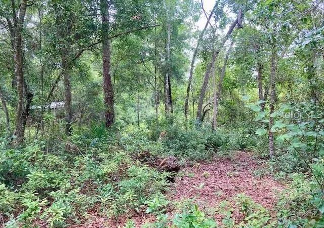 Photo 1 of Land for sale at 407 Raulerson Rd, Seville, FL 32190 | MLS# V4951208 | Listing updated on 2026-09-22