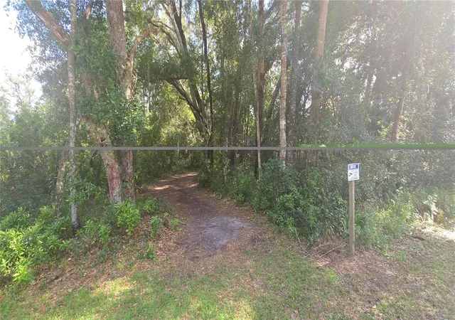 Photo 4 of Land for sale at 407 Raulerson Rd, Seville, FL 32190 | MLS# V4951208 | Listing updated on 2026-09-22