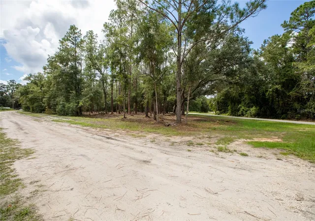 Photo 3 of Land for sale at W Hillsborough Ave, Florahome, FL 32140 | MLS# GC543416 | Listing updated on 2026-09-15
