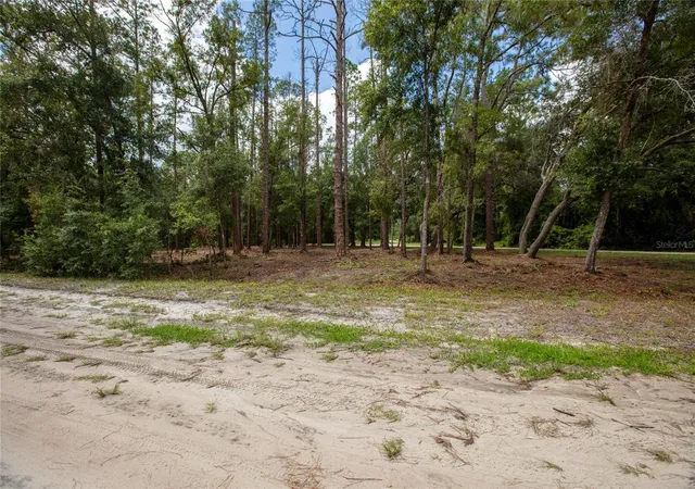 Photo 4 of Land for sale at W Hillsborough Ave, Florahome, FL 32140 | MLS# GC543416 | Listing updated on 2026-09-15